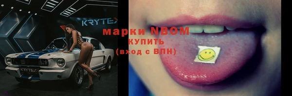 гашик Аркадак